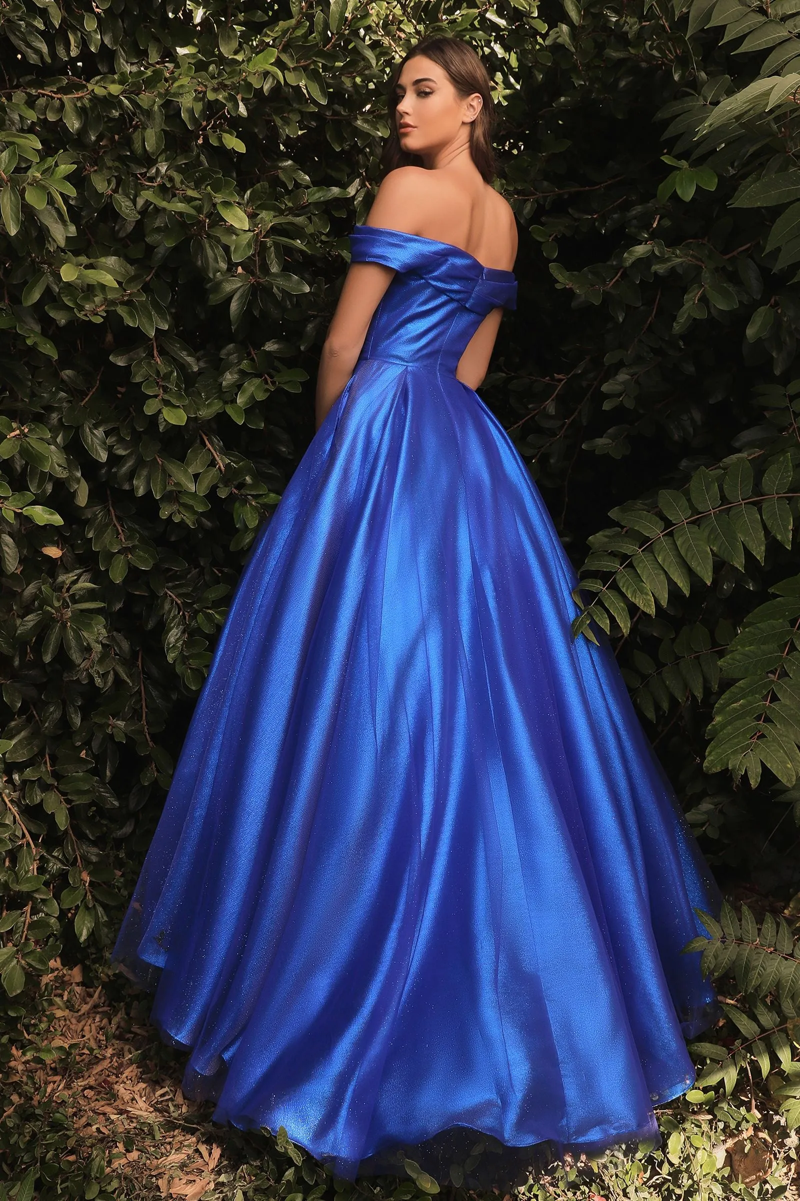 ARIANA Shimmer Off Shoulder Ballgown Formal Dress