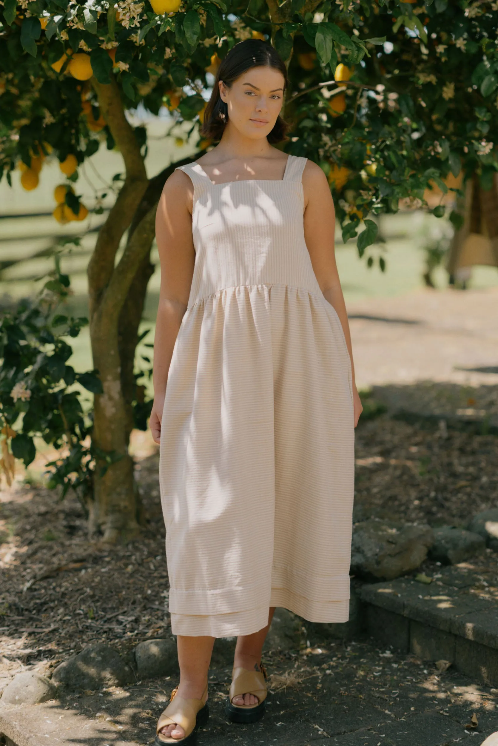 Ash Dress | Cream Stripe