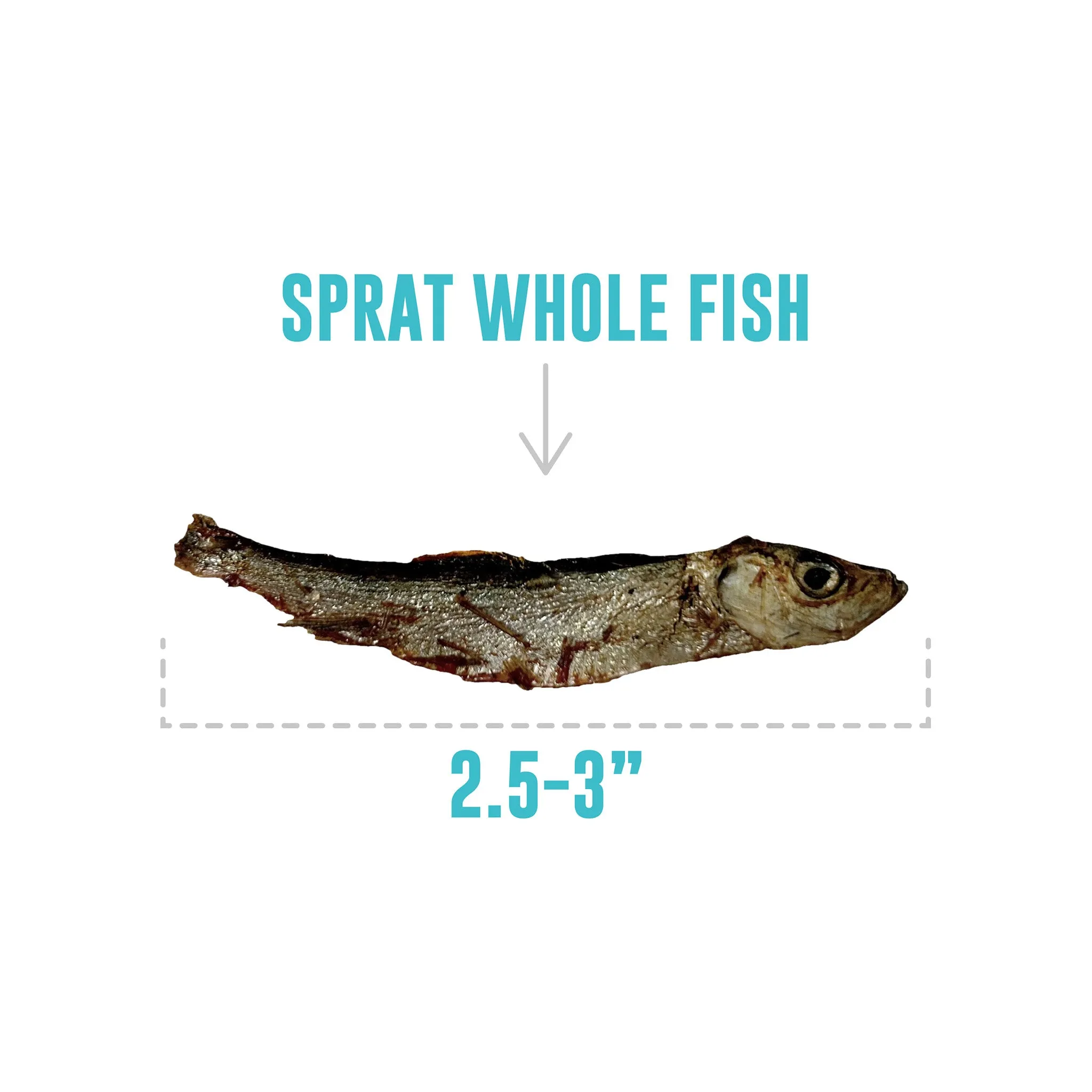 Icelandic  Sprats Whole Fish Dog Treats