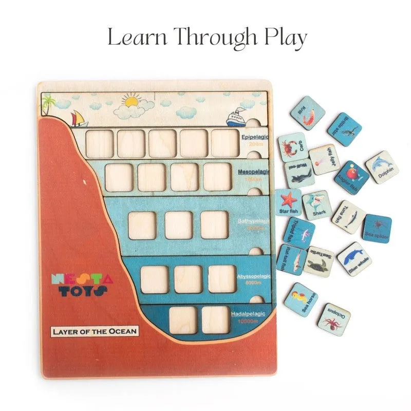 Ocean Layer Puzzle