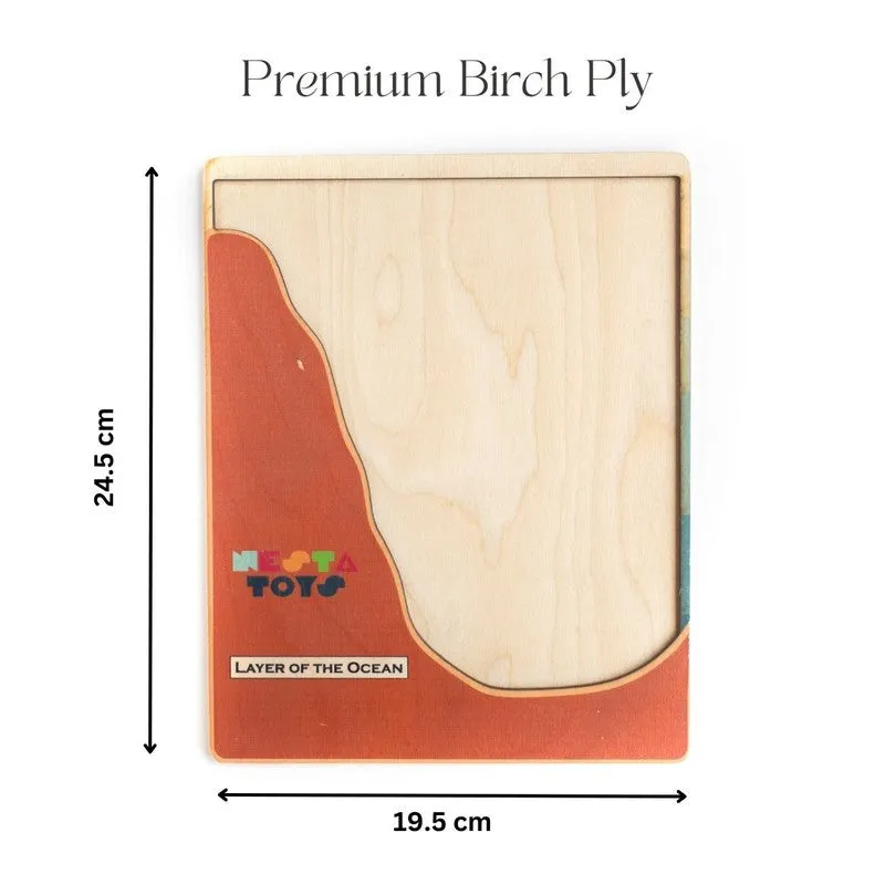 Ocean Layer Puzzle